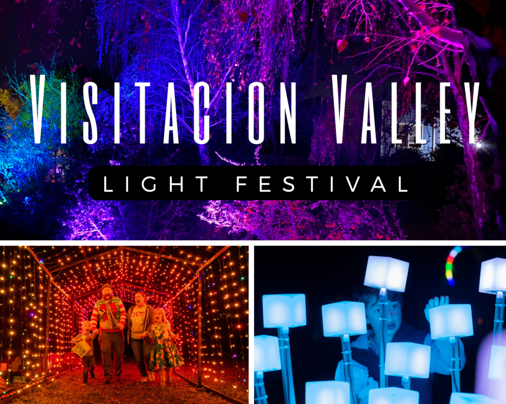 Visitacion Valley Light Festival 2023